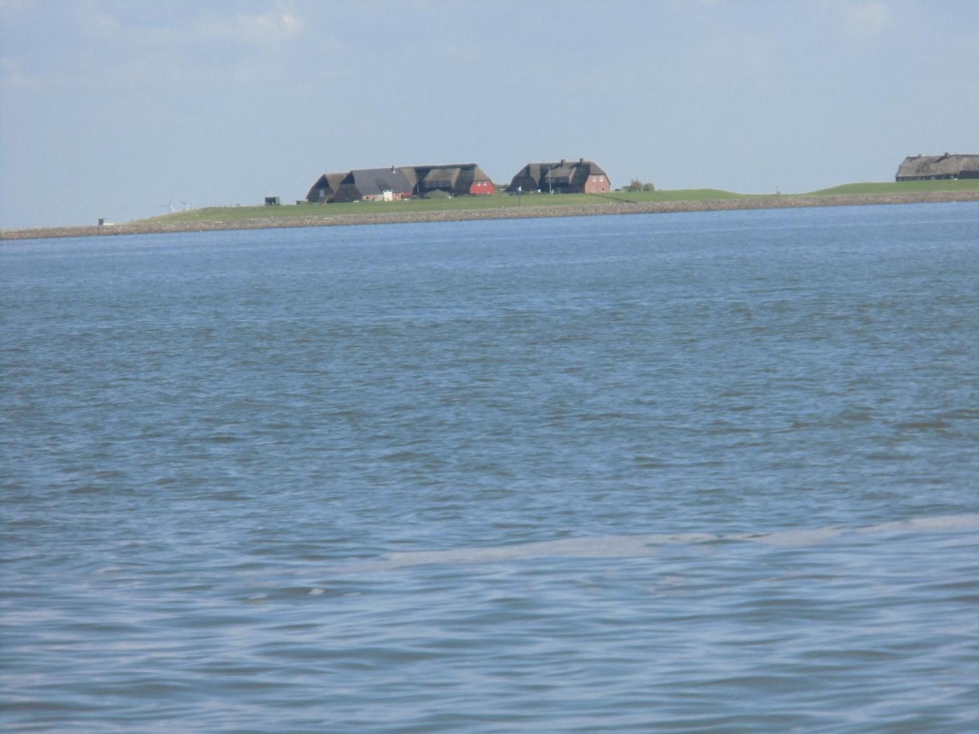 Haus Halligblick, Ferienwohnungen Am Wattenmeer, Whg Langenness Dagebuell Exterior photo